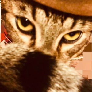 Meet your Posher, Elena